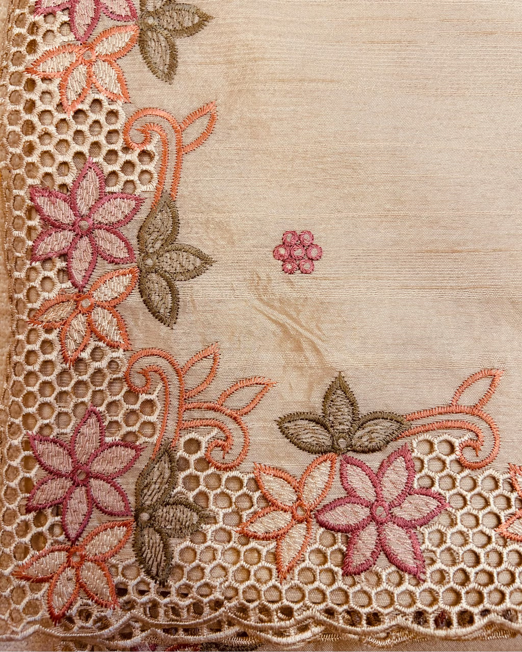 Pure Organza Silk Beige Cutwork Saree 